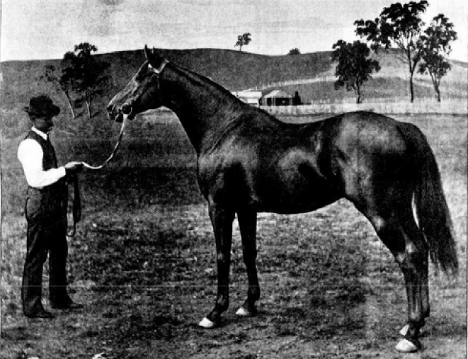 Hindoo by Rightaway — Idolatry