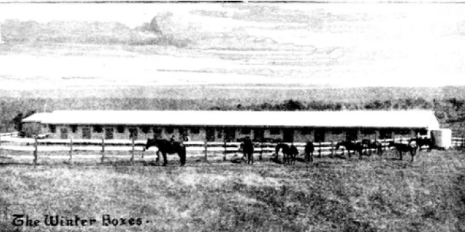 The Winter Boxes